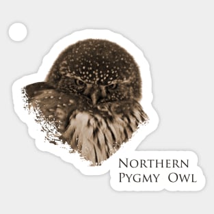 Northern Pygmy Owl- Small but Mighty Sticker